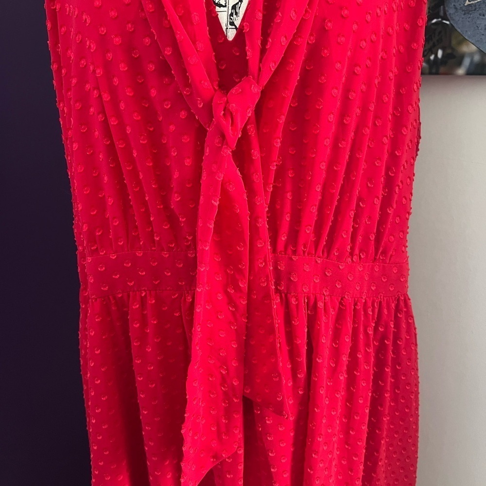 Torrid Retro Chic Red Dress - Picture 3 of 10